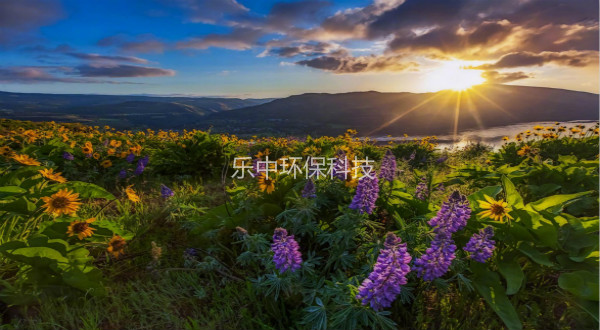 污水處理廠活性污泥法日常管理中，需要監(jiān)測與注意的參數(shù)-樂中環(huán)保