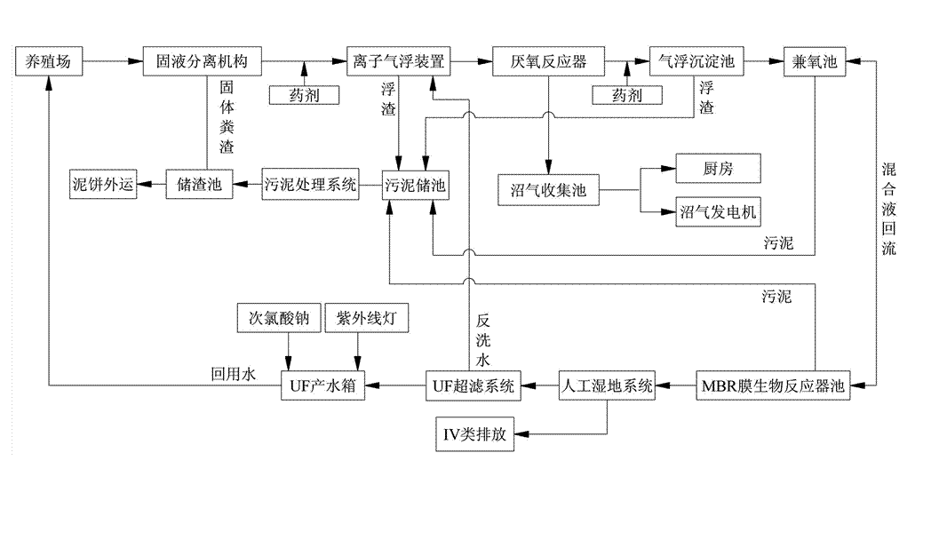 農村養(yǎng)殖戶如何低成本有效處理污水，這兩種做法你應該知道!02