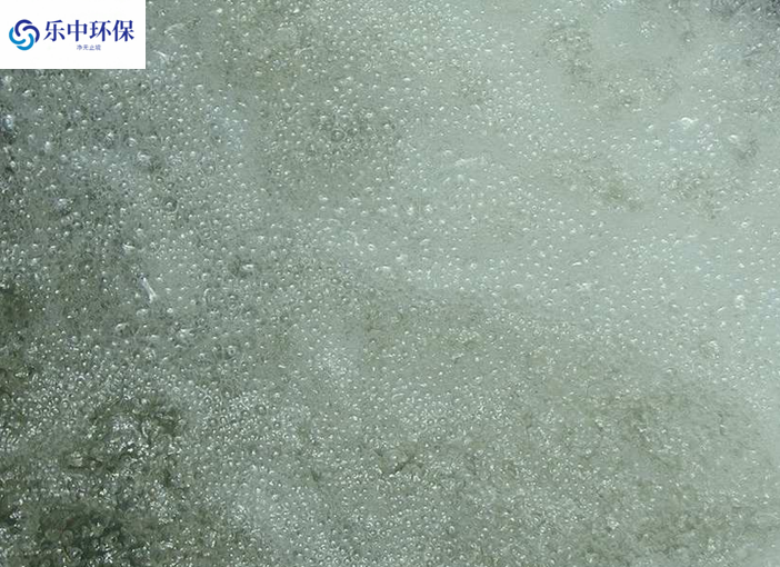 溶氣氣浮機(jī)泡沫多什么原因？如何解決？