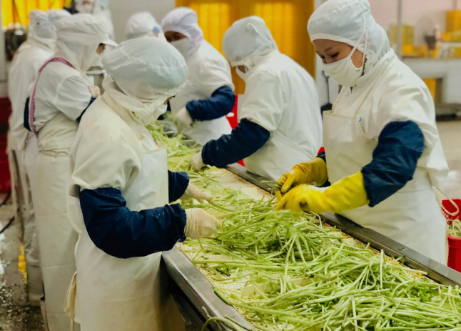 三種食品污水處理設(shè)備工藝流程，看看哪種適合您？
